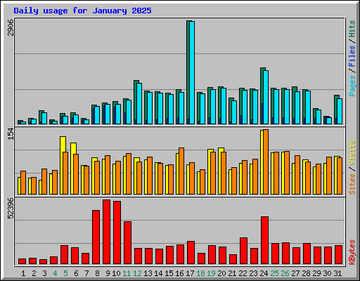 Daily usage for January 2025